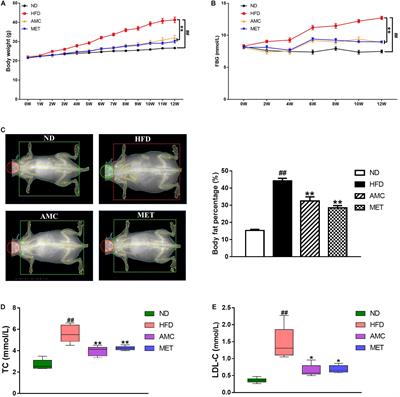 A Novel Antidiabetic Monomers Combination Alleviates Insulin Resistance Through Bacteria-Cometabolism-Inflammation Responses